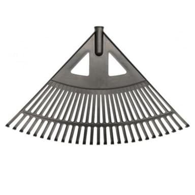 Grabie wachlarzowe do liści