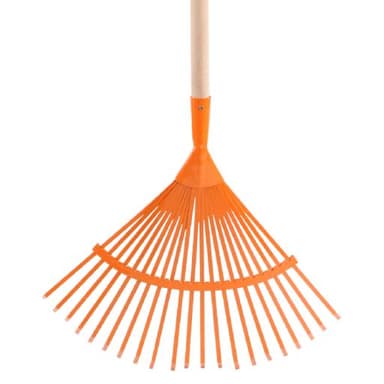 Grabie wachlarzowe flo